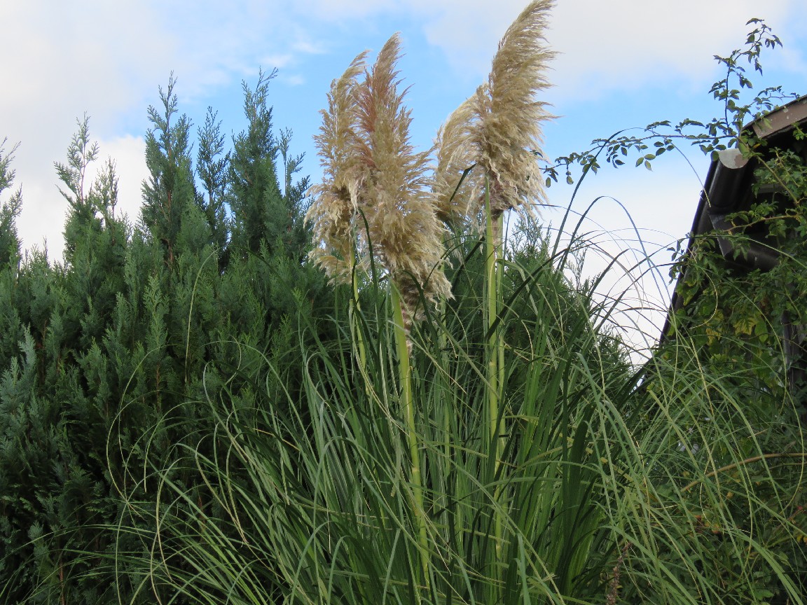 Büroadresse - Header 2